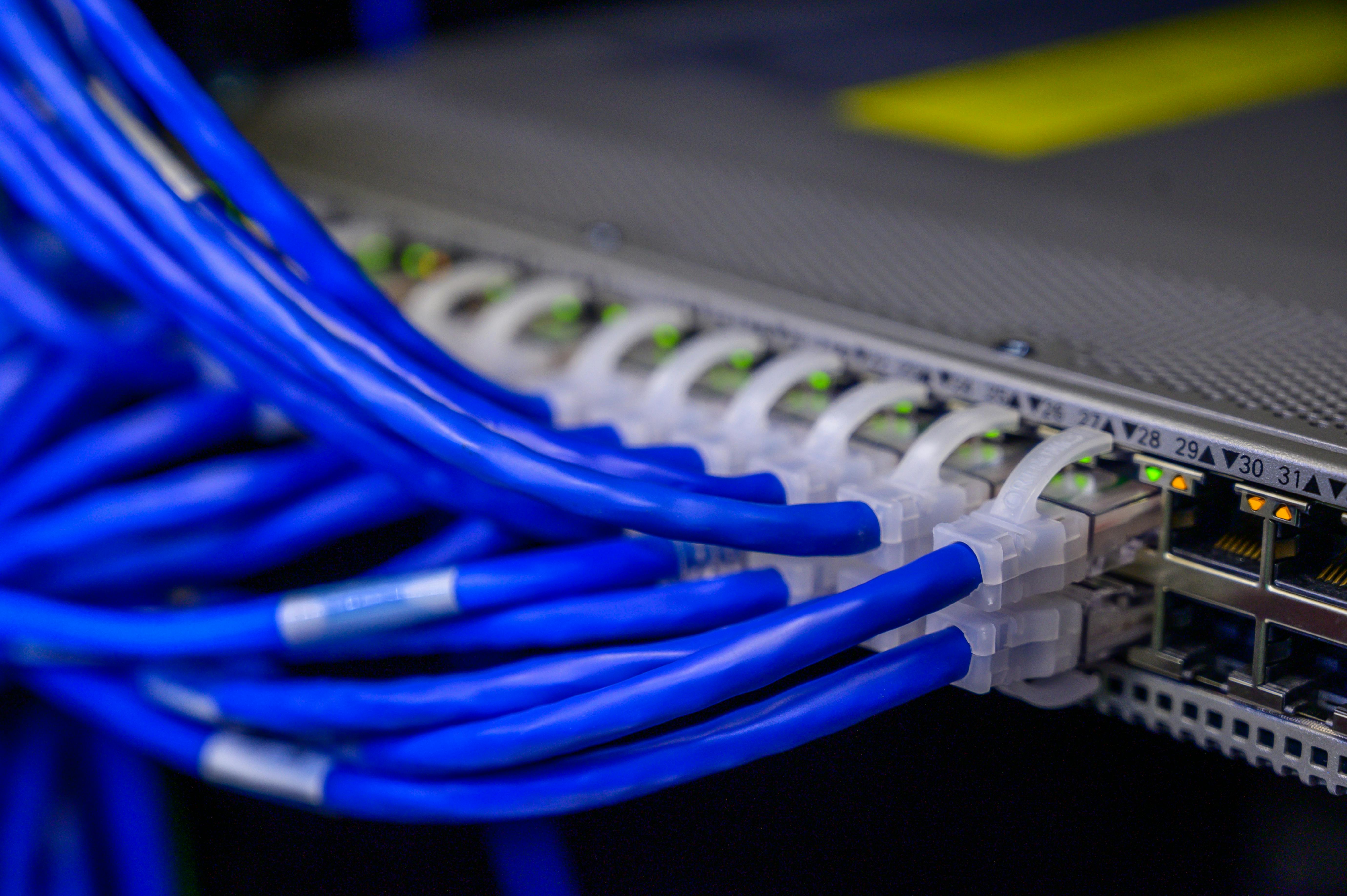 Blue Cat 6 cables terminated into a network switch — close-up of a Reliable Telephone & Data installation